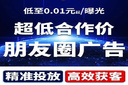 竞价广告策略案例分析